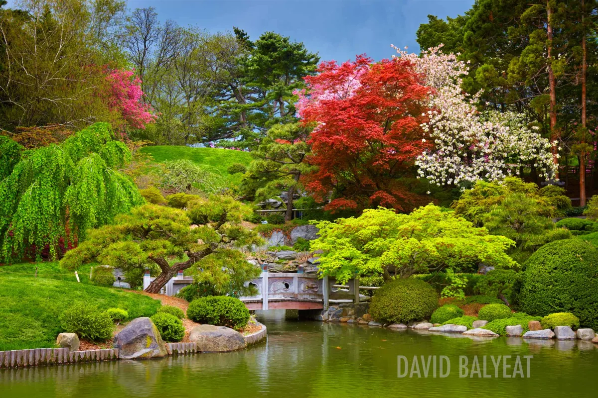Brooklyn Botanic Garden