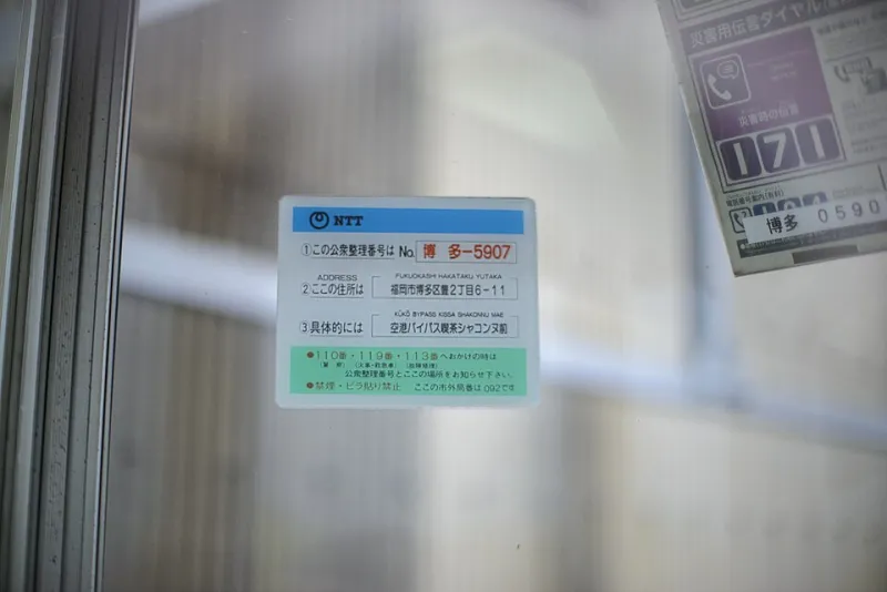 Nothing Goes to Waste Here: How the Japanese Idea of Mottainai Is Quietly Changing the Way Americans Let Go of Things